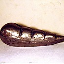 metamorphos|2003|Stahl|30x12cm