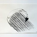 o.t. g6|2015|Tusche auf Papier|50x70cm