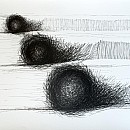 o.t. g2|2015|Tusche auf Papier|50x70cm